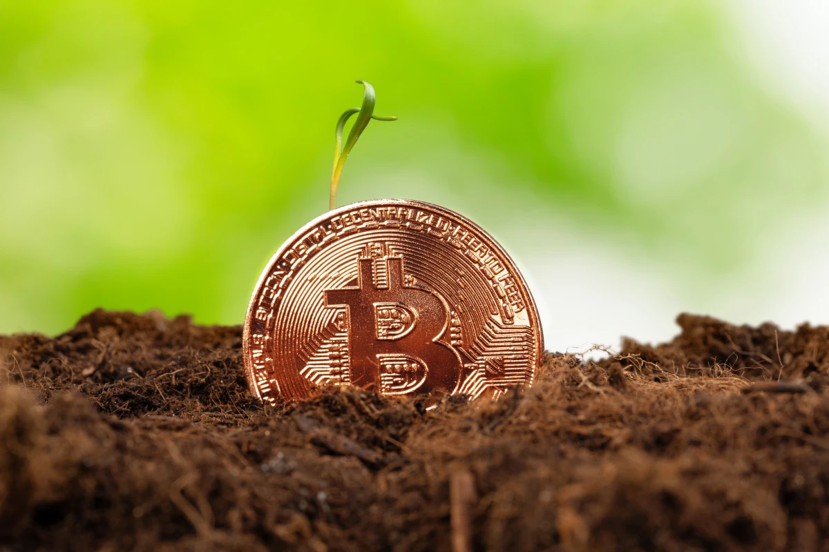 Comment fonctionne le Bitcoin ?